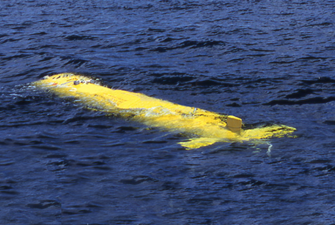 Unmanned surface and underwater vehicles